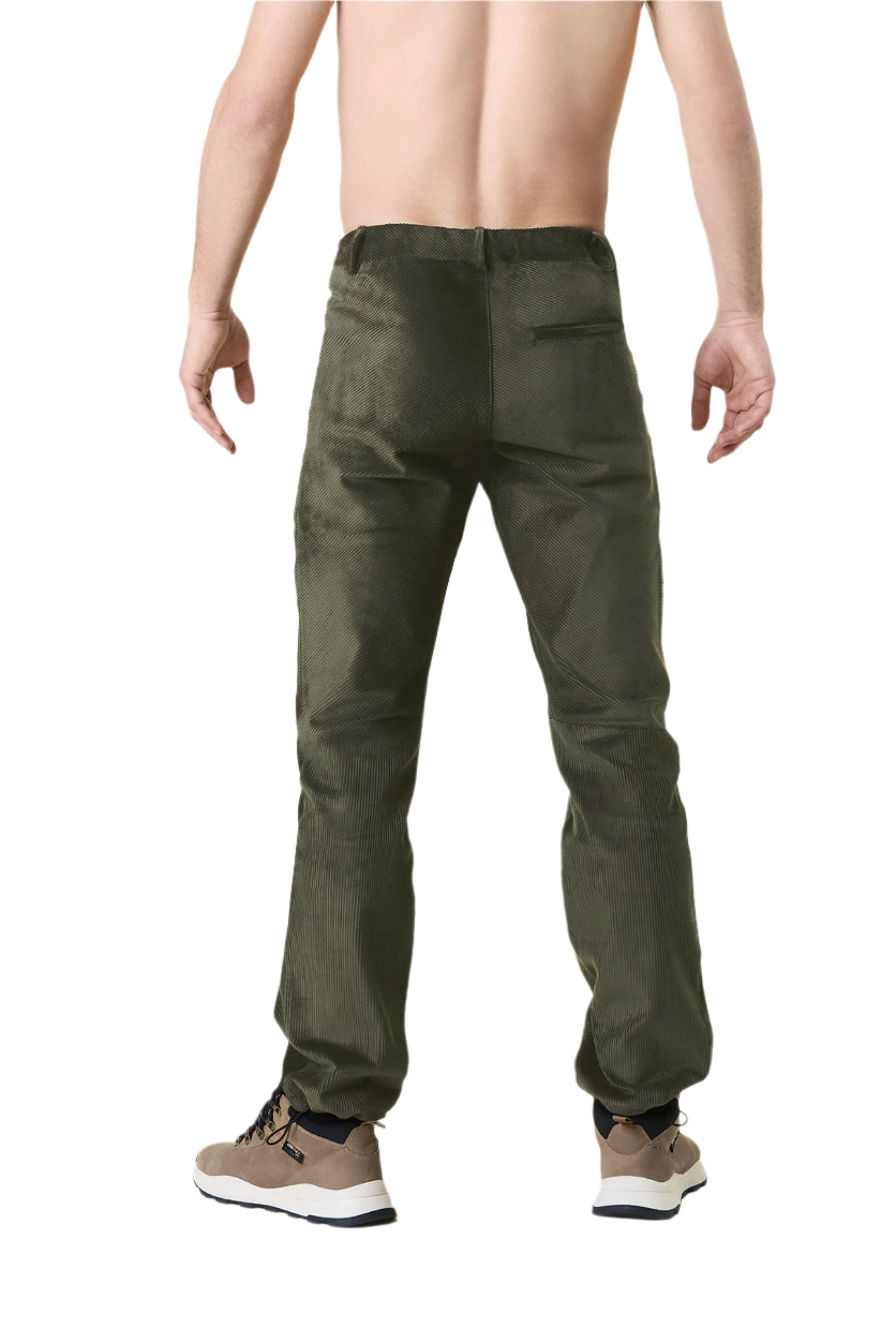 Pantalon homme en velours himalayen vert pin 2025/26
